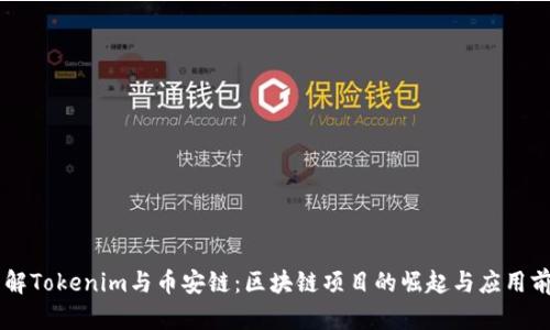 了解Tokenim与币安链：区块链项目的崛起与应用前景