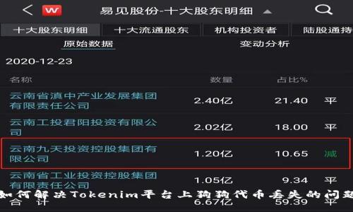 如何解决Tokenim平台上狗狗代币丢失的问题
