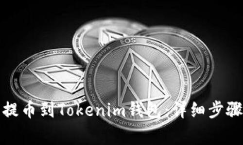 如何从欧易提币到Tokenim钱包：详细步骤和注意事项
