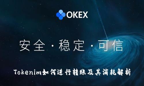 Tokenim如何进行转账及其消耗解析