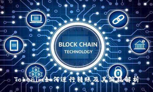 Tokenim如何进行转账及其消耗解析