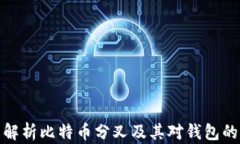 全面解析比特币分叉及其