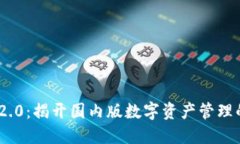 Tokenim 2.0：揭开国内版数字