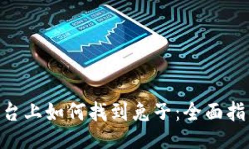 ### 
在Tokenim平台上如何找到兔子：全面指南与最佳实践