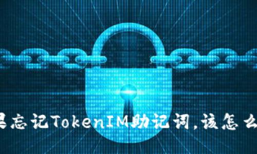 如果忘记TokenIM助记词，该怎么办？