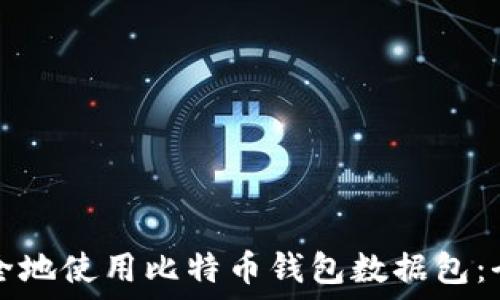   
如何安全地使用比特币钱包数据包：全面指南