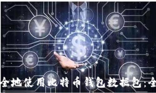   
如何安全地使用比特币钱包数据包：全面指南