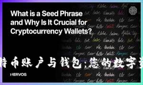 深入了解比特币账户与钱包：您的数字资产安全指南