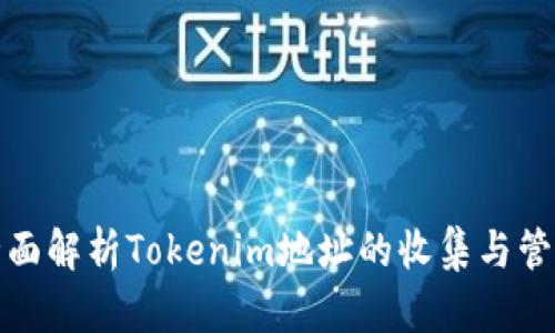 全面解析Tokenim地址的收集与管理