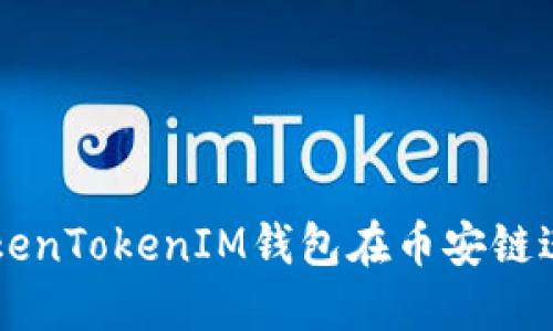 如何使用TokenTokenIM钱包在币安链进行安全交易