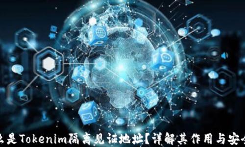 
什么是Tokenim隔离见证地址？详解其作用与安全性