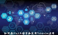 如何在iPad上安装和使用