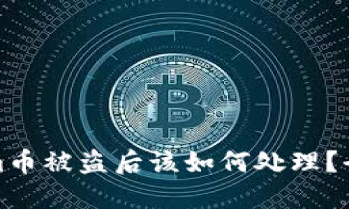 Tokenim币被盗后该如何处理？全面指南