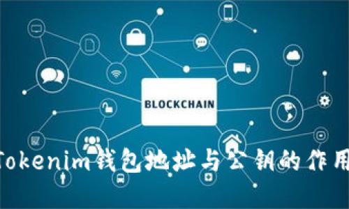了解TokenTokenim钱包地址与公钥的作用及其安全性