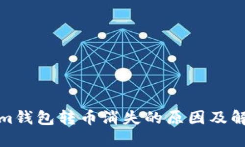 Tokenim钱包转币消失的原因及解决方案