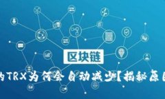 波场钱包中的TRX为何会自