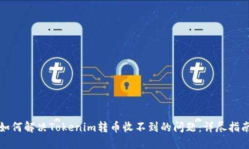 如何解决Tokenim转币收不到的问题：详尽指南