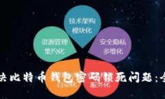 如何解决比特币钱包密码