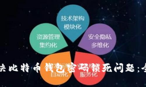 如何解决比特币钱包密码锁死问题：全面指南