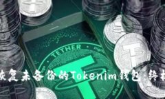 如何恢复未备份的Tokenim钱