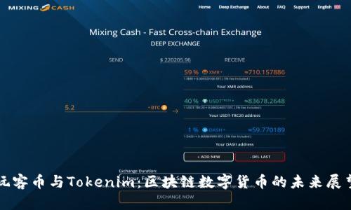 玩客币与Tokenim：区块链数字货币的未来展望
