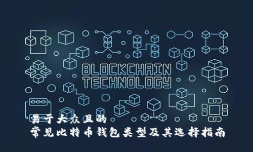 易于大众且的  
常见比特币钱包类型及其选择指南