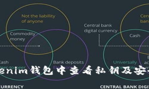 如何在Tokenim钱包中查看私钥及安全注意事项