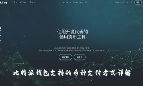比特派钱包支持的币种支付方式详解