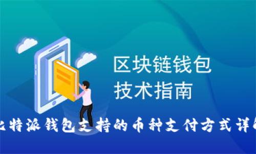 比特派钱包支持的币种支付方式详解