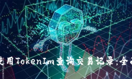 如何使用TokenIm查询交易记录：全面指南