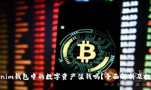 : Tokenim钱包中的数字资产值钱吗？全面解析及投资建议