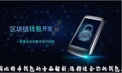 不同比特币钱包的全面解