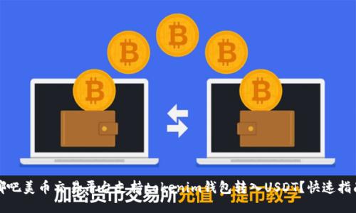 哪吧美币交易平台支持tokenim钱包转入USDT？快速指南