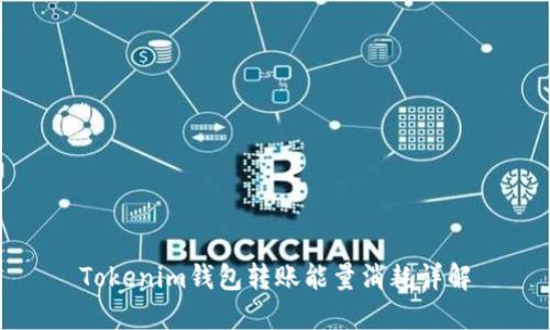 Tokenim钱包转账能量消耗详解