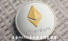   适合MATIC币的最佳钱包推