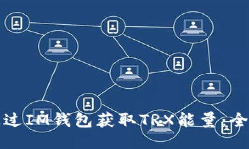 如何通过IM钱包获取TRX能量：全面指南
