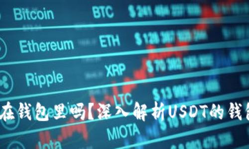 USDT可以放在钱包里吗？深入解析USDT的钱包存储与使用