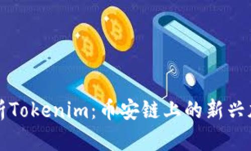 全面解析Tokenim：币安链上的新兴加密资产