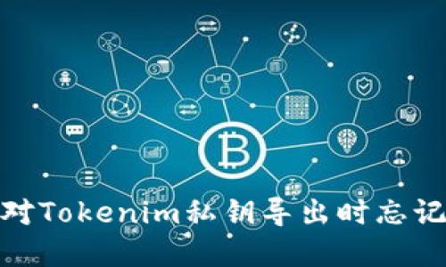 如何应对Tokenim私钥导出时忘记的困境