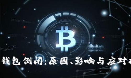  比特币钱包倒闭：原因、影响与应对措施分析