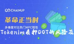 深入解析Tokenim质押DOT的风