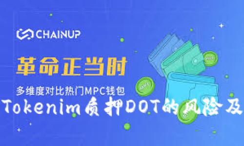 深入解析Tokenim质押DOT的风险及防范措施