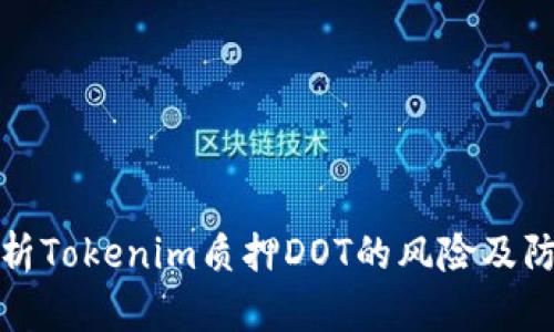 深入解析Tokenim质押DOT的风险及防范措施