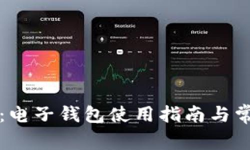 比特币存储：电子钱包使用指南与常见问题解答