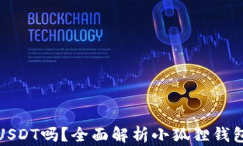 
小狐狸钱包能收USDT吗？全面解析小狐狸钱包的数字货币支持