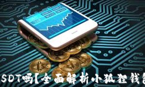 
小狐狸钱包能收USDT吗？全面解析小狐狸钱包的数字货币支持