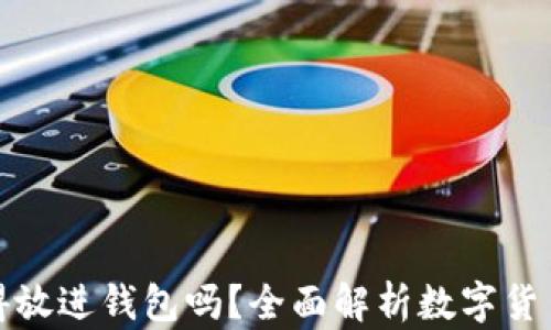 
狗狗币值得放进钱包吗？全面解析数字货币投资价值