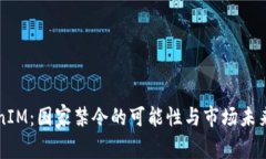TokenIM：国家禁令的可能性