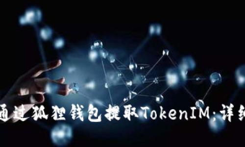 如何通过狐狸钱包提取TokenIM：详细指南
