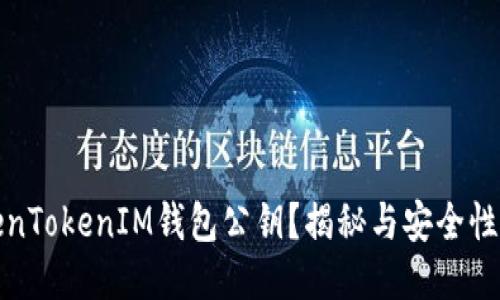 什么是TokenTokenIM钱包公钥？揭秘与安全性相关的一切